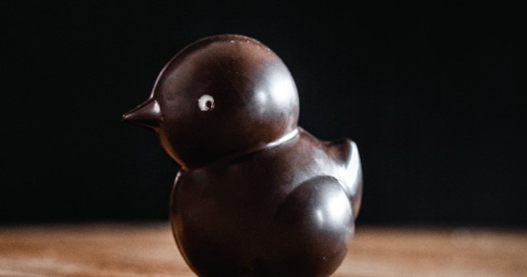 Poussin En Chocolat Noir Garni Esp Ce De Ganache Chocolaterie